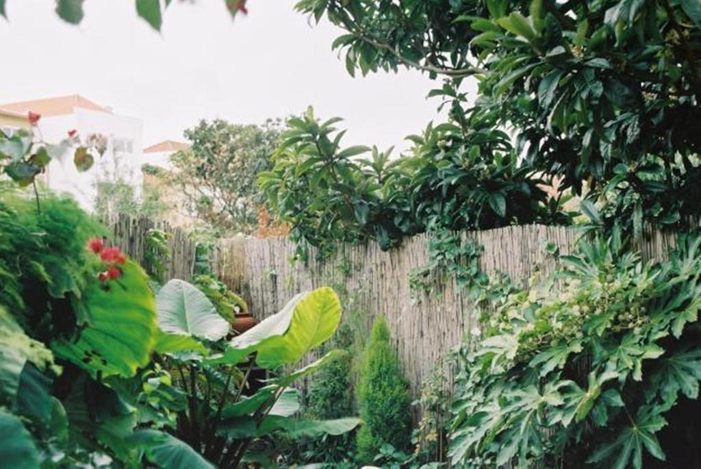 Apartment With Private Garden OOporto Habitación foto